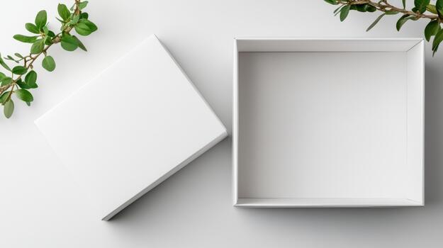 An empty white box with a leaf on top photo
