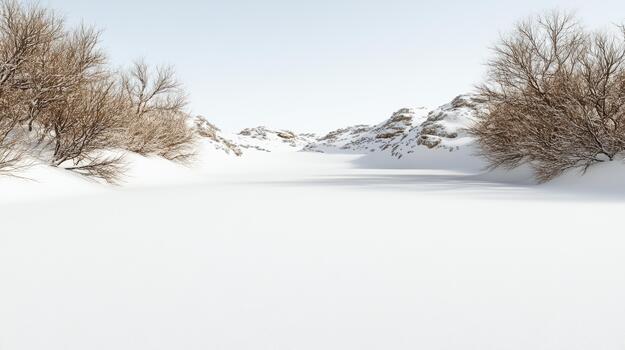 A snowy landscape with trees and bushes photo