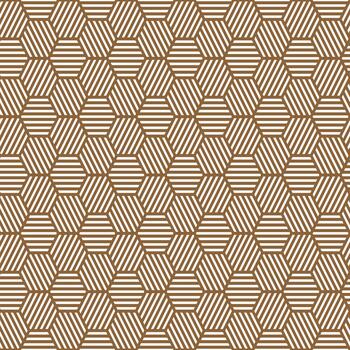 Pattern Seamless Striped Hexagonal Tasselation Honeycombs vector