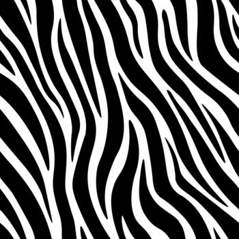 Pattern Seamless Zebra Lines Motif Repeat vector