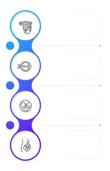 Reproductive health infographic blue gradient circles. Artificial insemination. Prenatal care service. Editable thin line icons diagram process with 4 steps vector