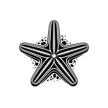Detailed illustration of a stylized starfish with intricate patterns and small dots vector