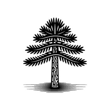 A striking silhouette of an Araucaria tree a unique evergreen with distinctive tiered branches and a textured trunk presented vector