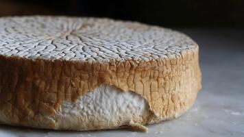 stänga upp makro se av en hela ost hjul med texturerad svål och mönster. video