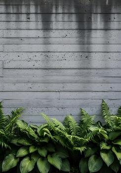Contrasting Textures of Rough Concrete and Lush Greenery Background for Architectural and Botanical Themes with Ferns and Hostas photo