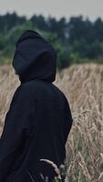 mörk spöke på en vete fält. tillbaka se av en läskigt figur i svart dölja vändning dess skrämmande ansikte på kamera på de natur bakgrund. vertikal video