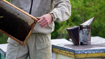 okänd man roterande en honung ram med mörk vax i hans händer. rökare är stående på de bi bikupa Nästa till en man. suddig natur bakgrund. video