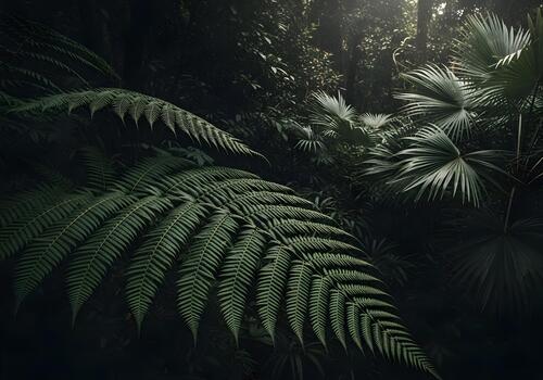 Lush Green Forest Scene with Ferns and Palms Casting Shadows Creating a Tropical Paradise and Mysterious Atmosphere photo