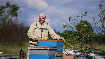 caucasian vuxen man arbetssätt i de lantlig bigård lokalisering i de natur bakgrund. biodlare kontroll upp de ramar använder sig av verktyg. video