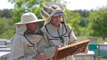 två biodlare i skyddande hattar fokuserade på de mörk honung ram. män se på den spänt talande handla om Det. natur bakgrund. video