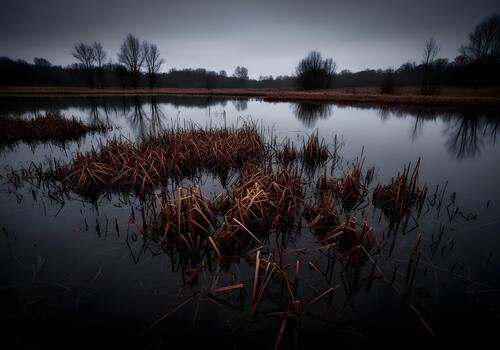 Serene Landscape of a Dark Lake Reflecting Trees Under a Cloudy Sky Creating a Moody and Atmospheric Scene photo