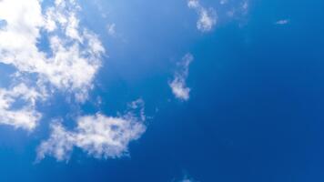 leggero magro nuvole scomparsa nel il in profondità azzurro cielo. sorprendente Visualizza di cieli a partire dal sotto su soleggiato giorno. lasso di tempo. video