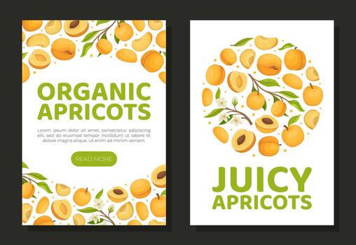 Apricot Vertical ard Design with Ripe Fruit Template vector