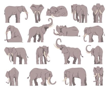 Grey Elephant as Large African Animal with Trunk in Different Pose Big Set vector