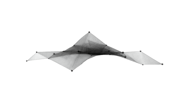 abstract meetkundig gaas, zwart en wit wireframe structuur, modern digitaal kunst, geïsoleerd Aan transparant achtergrond, futuristische ontwerp, technologie concept, dynamisch vorm png