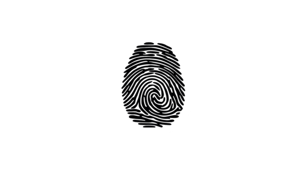 impronta digitale nero isolato biometrico identificazione sicurezza unico modello personale digitale. singolo nero impronta digitale modello isolato trasparenza sfondo simboleggiante sicurezza identificazione png