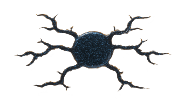 mörk abstrakt form med förgrening rader strålande från central cirkel, liknar stiliserade nervcell eller organisk nätverk, isolerat på transparent bakgrund png