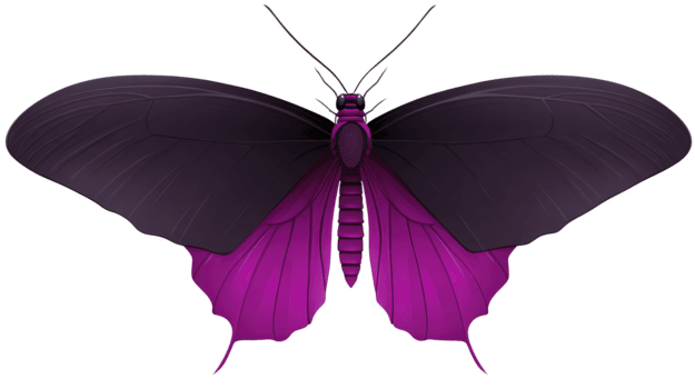 lila och svart fjäril med öppen vingar, detaljerad symmetrisk mönster, vibrerande Färg, isolerat på transparent bakgrund, elegant och delikat, lämplig för natur och design begrepp png