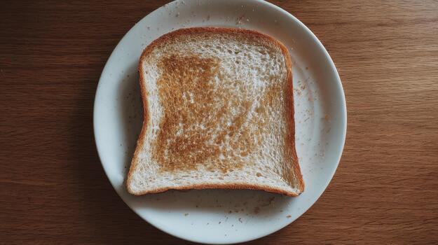 Single Slice of Toast on a Plate photo