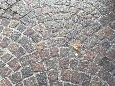 Circular pattern of cobblestone pavement featuring various shades of brown and gray stones, with a single autumn leaf resting on the surface, creating a natural contrast in the urban environment photo