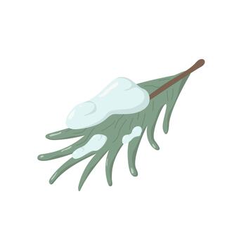 Illustration of a pine branch with green needles and a brown stem, topped with a smooth layer of snow. Simple and elegant winter-themed design, evoking cold weather and seasonal nature vector