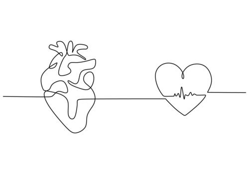 continuo línea dibujo de un corazón con latido del corazón línea vector