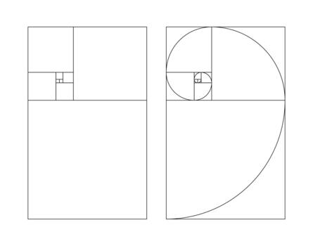 Vertical golden ratio harmony proportions templates. Fibonacci array set. Fibonacci numbers collection. vector