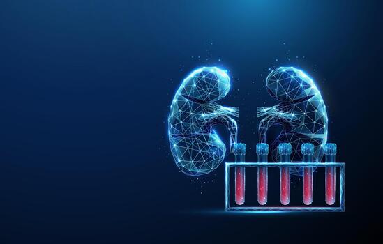 Futuristic kidney and test tube design vector