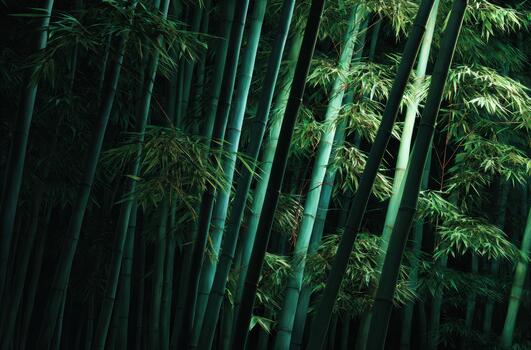 Bamboo forest illuminated by soft light at dusk photo