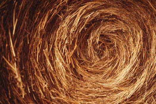 Spiral pattern of dry straw in a rustic barn photo