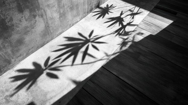 Shadows of leaves create patterns on a concrete surface photo