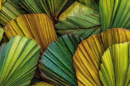 vistoso palma hojas arreglado en un vibrante modelo foto