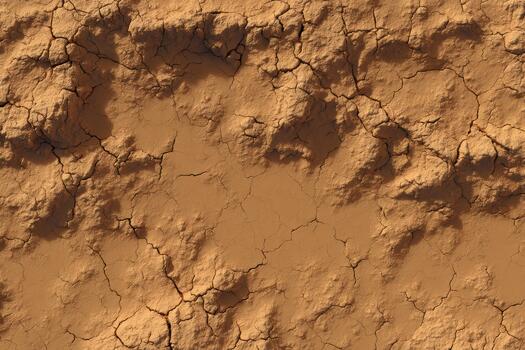 Cracked earth surface showing dry soil texture photo