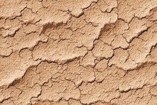 Dry cracked earth surface with distinct patterns photo