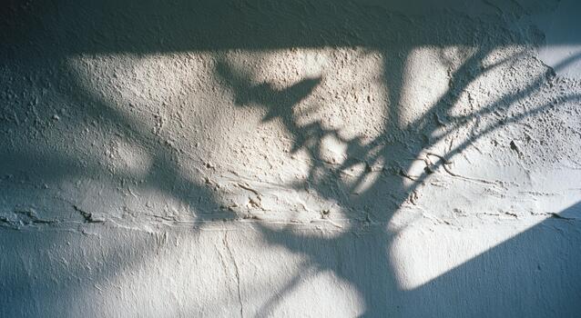 Shadows of branches dance on a wall in soft light photo