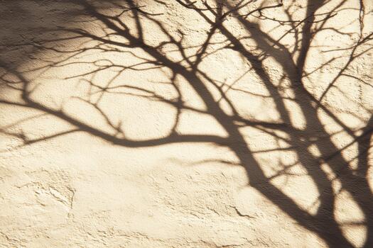 Shadows of branches on a textured wall in sunlight photo