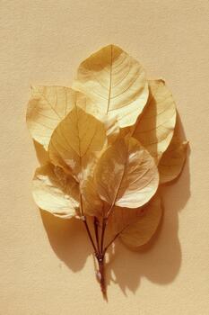 Dried yellow leaves arranged on a plain background photo