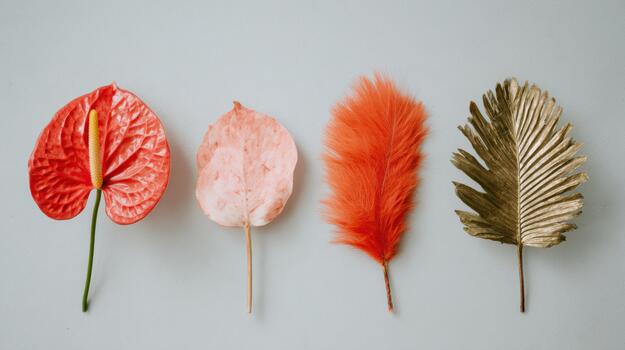 Colorful leaves arranged on a light background in autumn photo