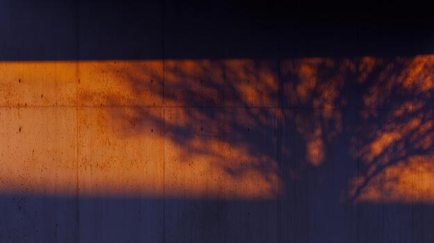 Sunset casting tree shadows on a concrete wall photo