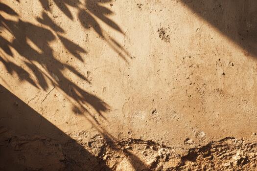 Wall with shadows from leaves in warm sunlight photo