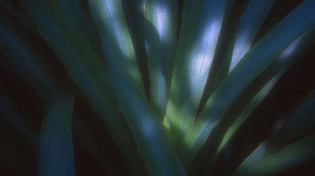 Close view of green plant leaves in soft light photo