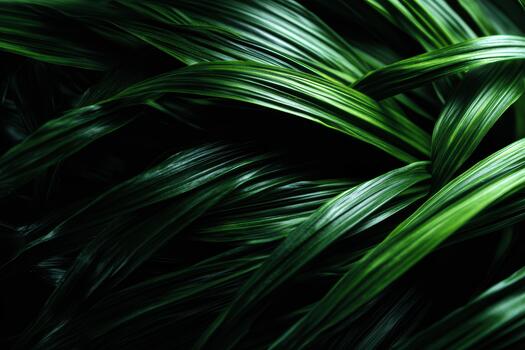 Green leaves create a lush, vibrant texture in nature photo