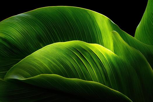 Vibrant green leaves with intricate textures and curves photo