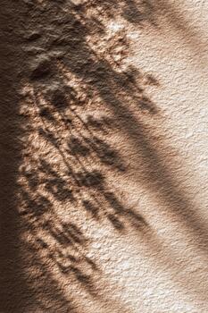Shadow patterns on textured wall create a calming scene photo