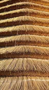 Close up view of a thatched roof showing the layered texture of dried straw or grass creating a natural and rustic building material photo