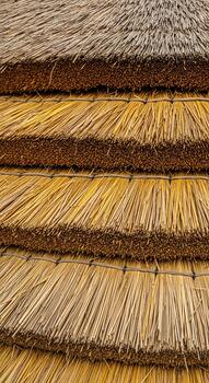 Close up view of a thatched roof showing the texture and layers of dried straw and reeds photo