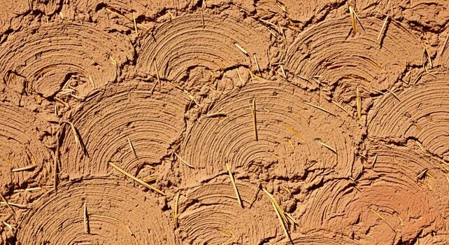 Close up of a textured earthen wall with repeating semicircular patterns and visible straw fibers photo