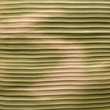 Close up view of parallel horizontal ridges and grooves on a textured surface with subtle variations in color photo