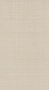 Subtle beige textured fabric with fine horizontal lines creating a natural linen or canvas background photo