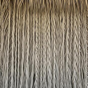 cerca arriba ver de seco dorado trigo tallos creando un texturizado natural antecedentes modelo con vertical líneas foto